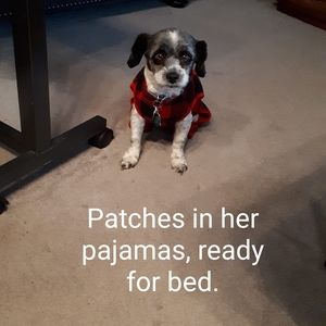 Meet your Posher, Debbie